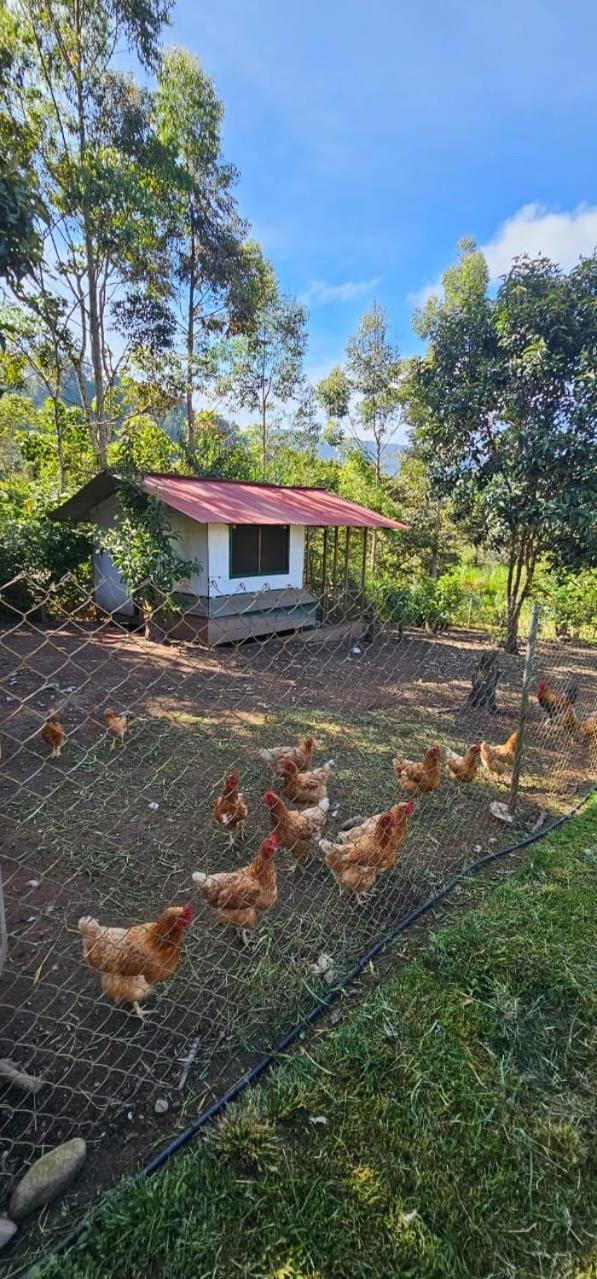 Hassinger Ranch Cabanas อ็อกซาปามปา ภายนอก รูปภาพ
